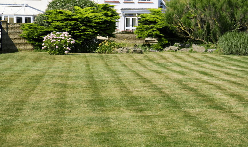 Lawn Care