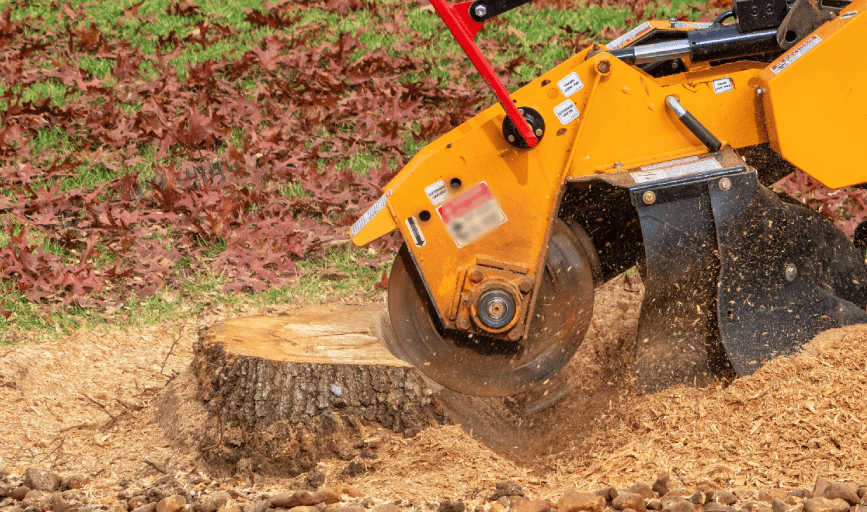 Tree Services